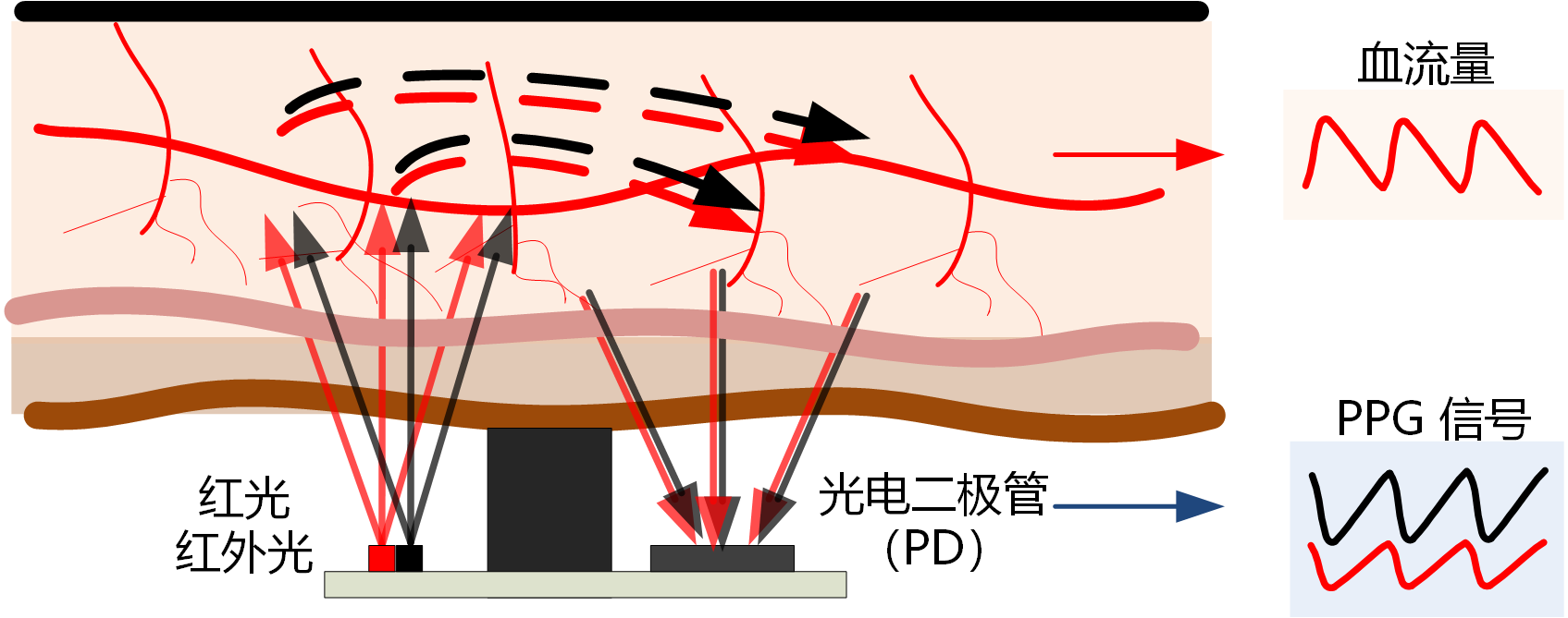 配图血氧.png